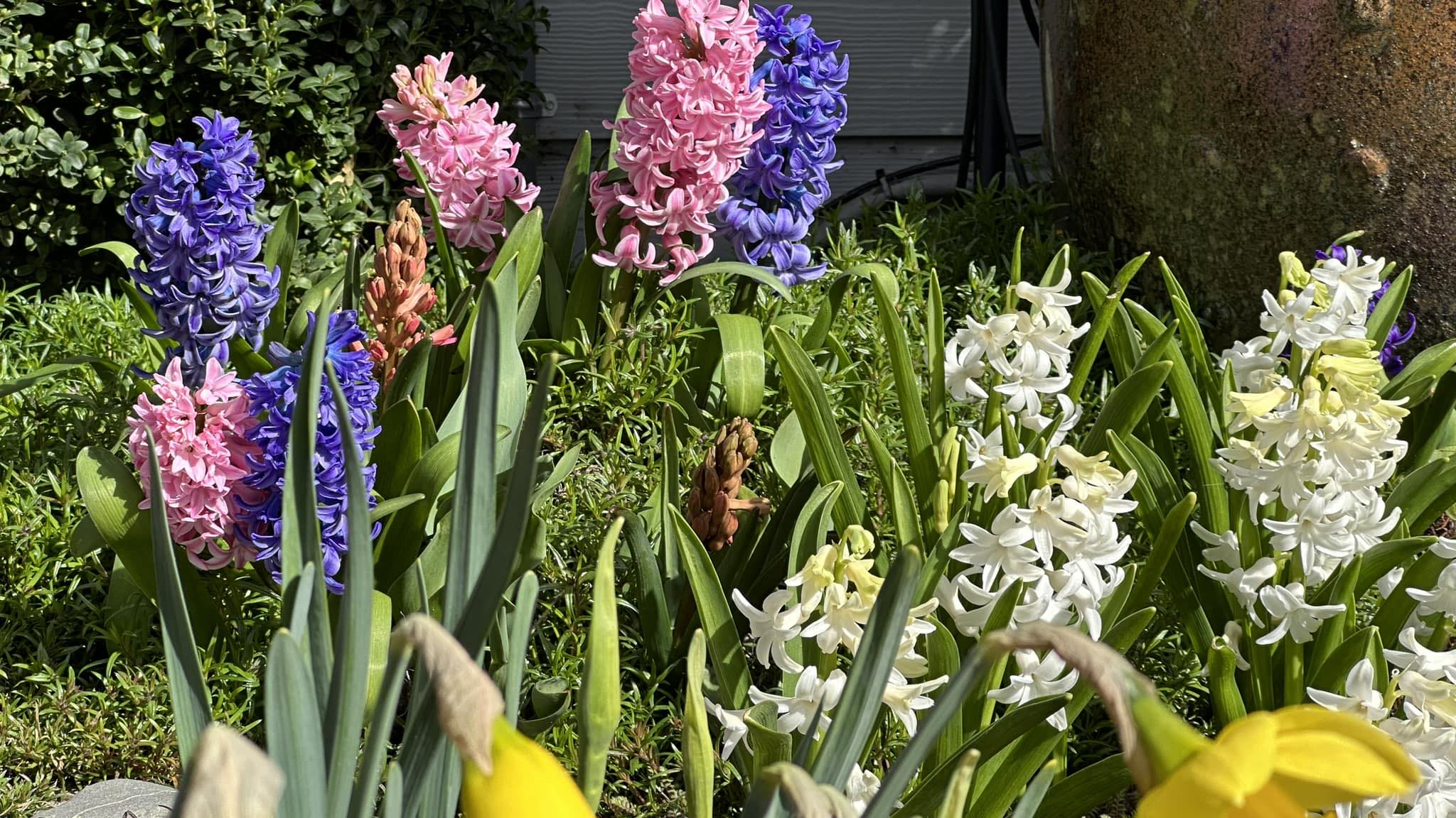 4 Benefits of Installing Outdoor Lighting