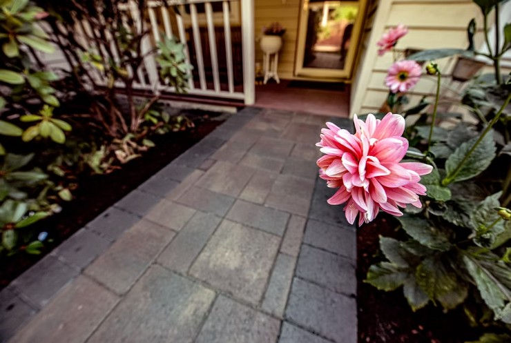 The Benefits of Sanding and Sealing Your Patio