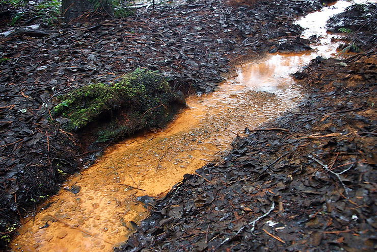 No More Mud Pits: How Landscape Drainage Systems Save Your Yard and Your Sanity