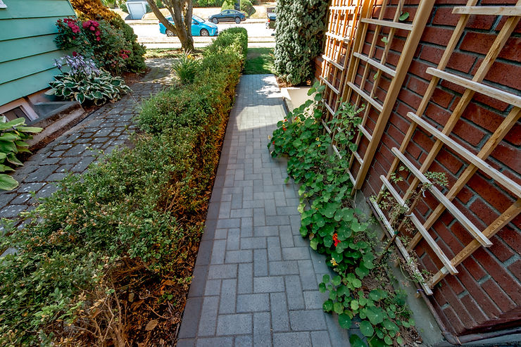 Bloom Where You’re Planted: The Best Flowers for Pacific Northwest Gardens