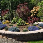 Native Plants and Stunning Foliage for Washington Yards