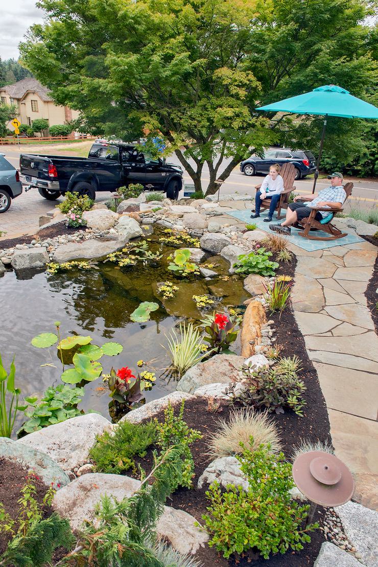 How to Choose the Perfect Water Feature for Your Backyard: From Zen Fountains to Wow-Factor Waterfall